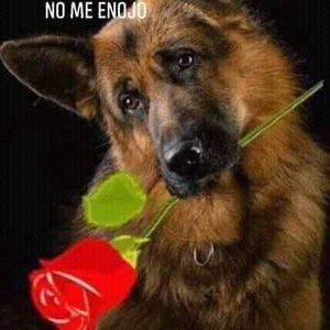 Meet your Posher, Nieves